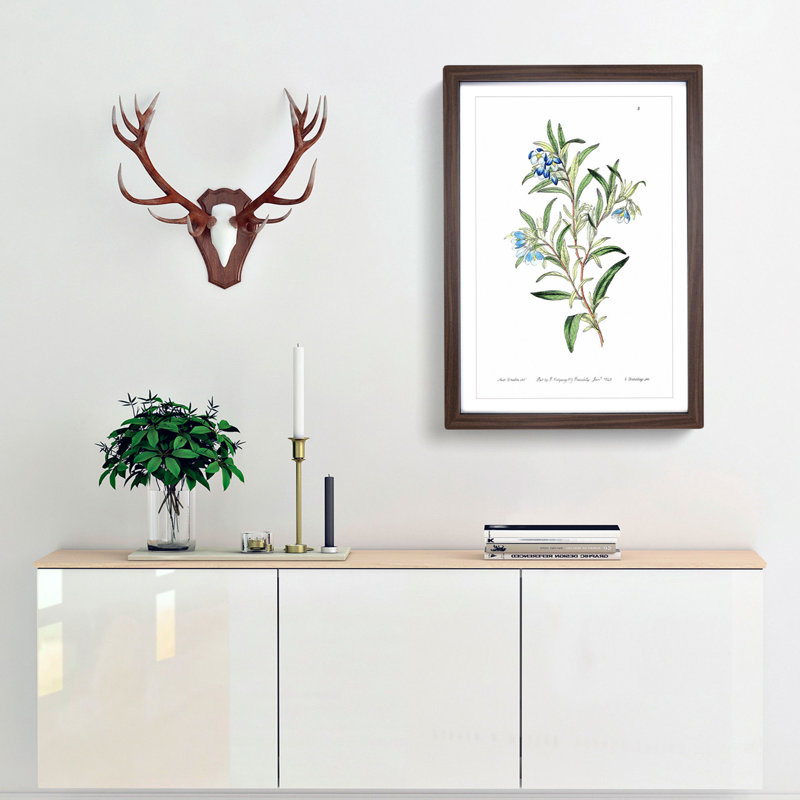 Bluebell Flowers - Framed Print, 60cm H x 40cm W x 2cm D, Walnut