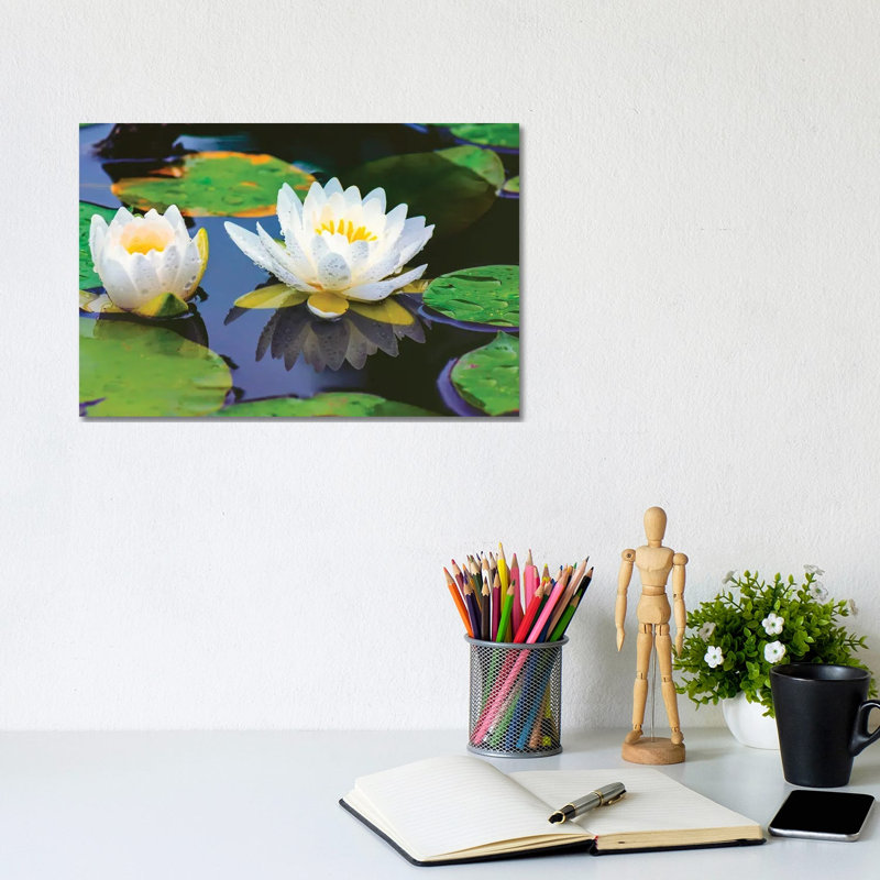 Lovely Lilly by David Gardiner - Wrapped Canvas Print, 8"H x 12"W