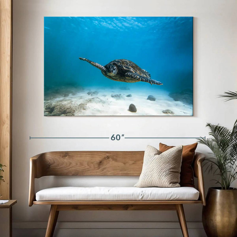 Tortue bleue Brampt, H 34 po x l 51 po