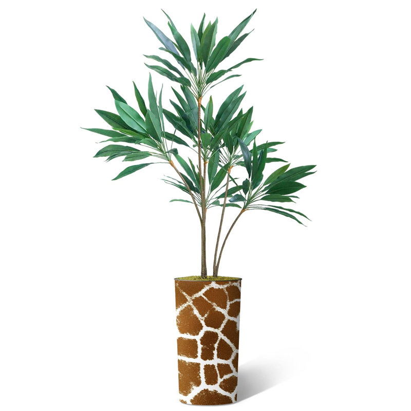 66 plantes, Brun