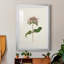 Mauve Garden Flowers V - peinture encadrée-949402227-949402229