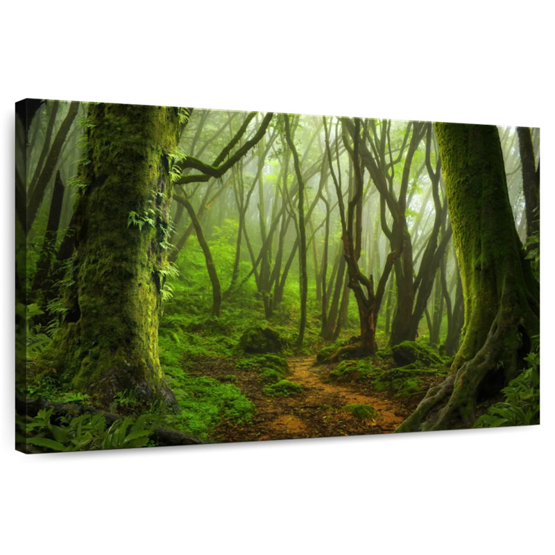 Alvord Mossy Nepal Jungle, 26" H x 39" W