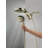 Hydrorain 5 Spray Dual Shower Head and Handheld Shower with Lumicoat and H2Okinetic 2.5 GPM-2087359168