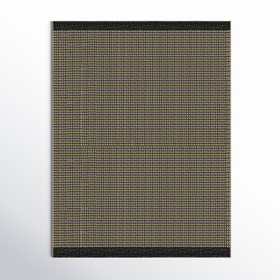 Trane Checkered Flatweave Indoor/Outdoor Area Rug 
