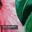 Aquarelle, flamant rose, hibiscus, feuilles, Monstera, menu de cuisine blanc avec 12 crochets-377965845