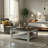 Weddel Basilico Coffee Table with Storage-1780280754