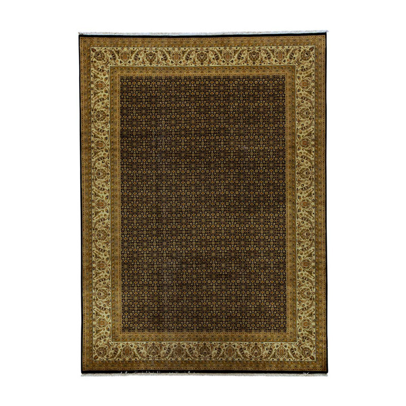 Wool Oriental Area Rug in Gold
