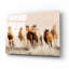 «Outlaws» par Lisa Dearing - photographie sans cadre-1001195022