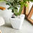 2-Pack Smart Self-Watering Planter Pot For Indoor And Outdoor-1104905437