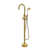 Ti Gold