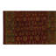 Flatweave Wool Oriental Area Rug
