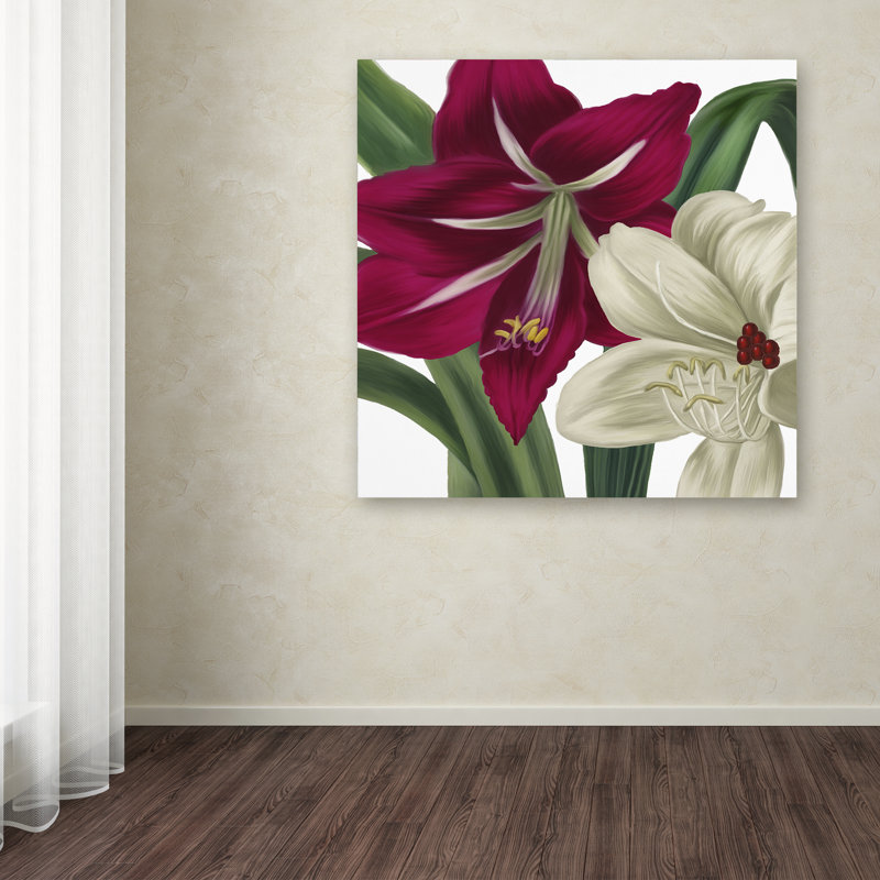 «Christmas Amaryllis I» par Jadaya, reproduction d'art sur toile tendue, H 18 po x l 18 po x P 2 po