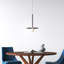 Single Light Metal Dimmable LED Pendant-292993343-292993344
