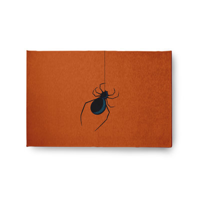 Teyvione Chenille Indoor Rug