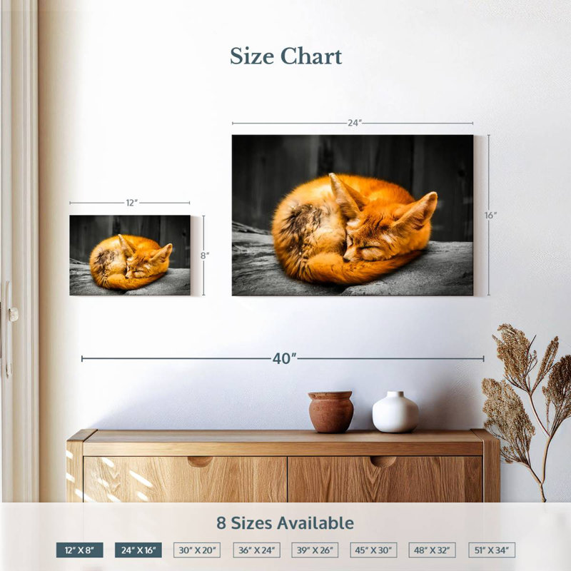 Brampt Fox Sleeping