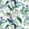 Blue Peacock