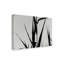«Shapes Black On White» par Molloy, reproduction de photo sur toile tendue-26111683