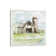 Weathered Barn II by Nan - Print on Canvas