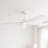 Hinkley Layton Ceiling Fan-108493462-108493461