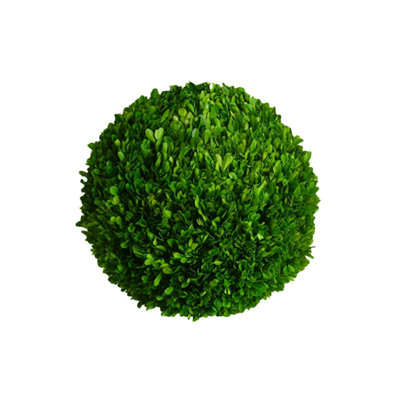 8'' Boxwood Topiary