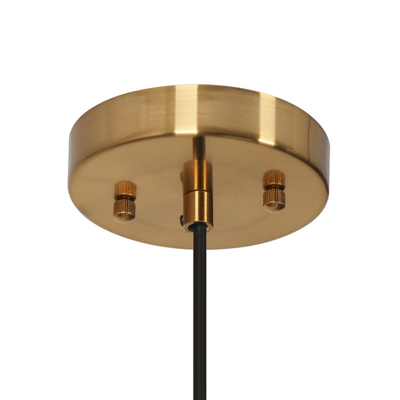 Luminaire suspendu industriel moderne 1 lumière noir