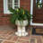 Muggly's Papa John Face Statue Planter-8078778-8078772