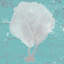 « graphic sea fan ii », impression sur toile-29435341-73437115-73437120