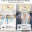 Ceiling Fan with Light Kit