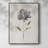 Botanical Beauty II Framed Print - Solid Wood 45957-1450032677