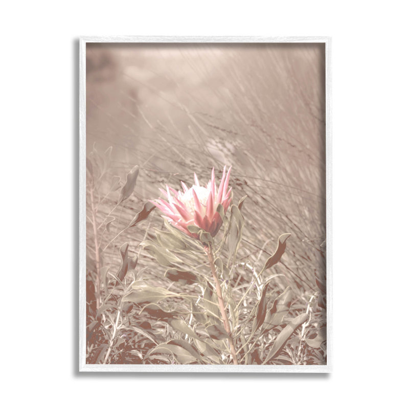 Lone Pink Flower Grassland par Lil 'Rue - photographie sur toile, H 30 po x l 24 po x P 1,5 po