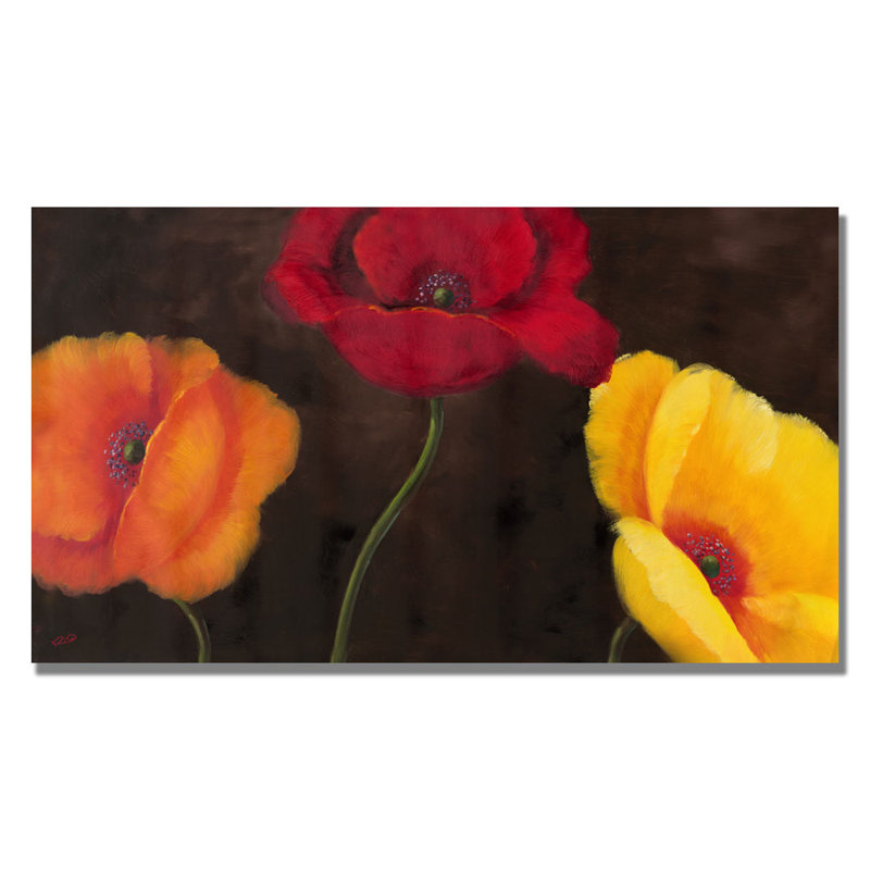 « orange rouge et jaune » par rio, reproduction d’art sur toile tendue encadrée, H 24 po x l 47 po x P 2 po