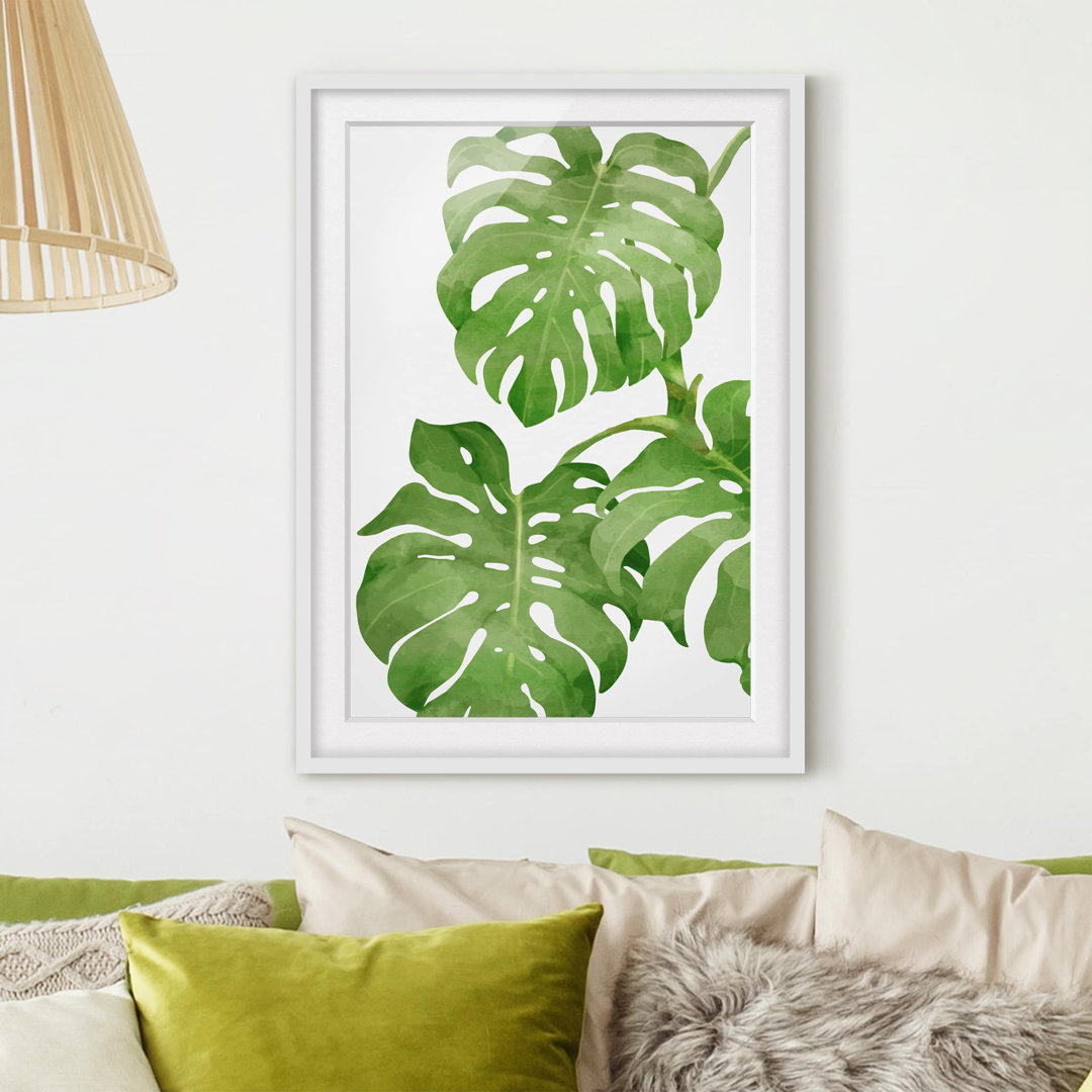 Gerahmtes Poster Monstera Watercolour