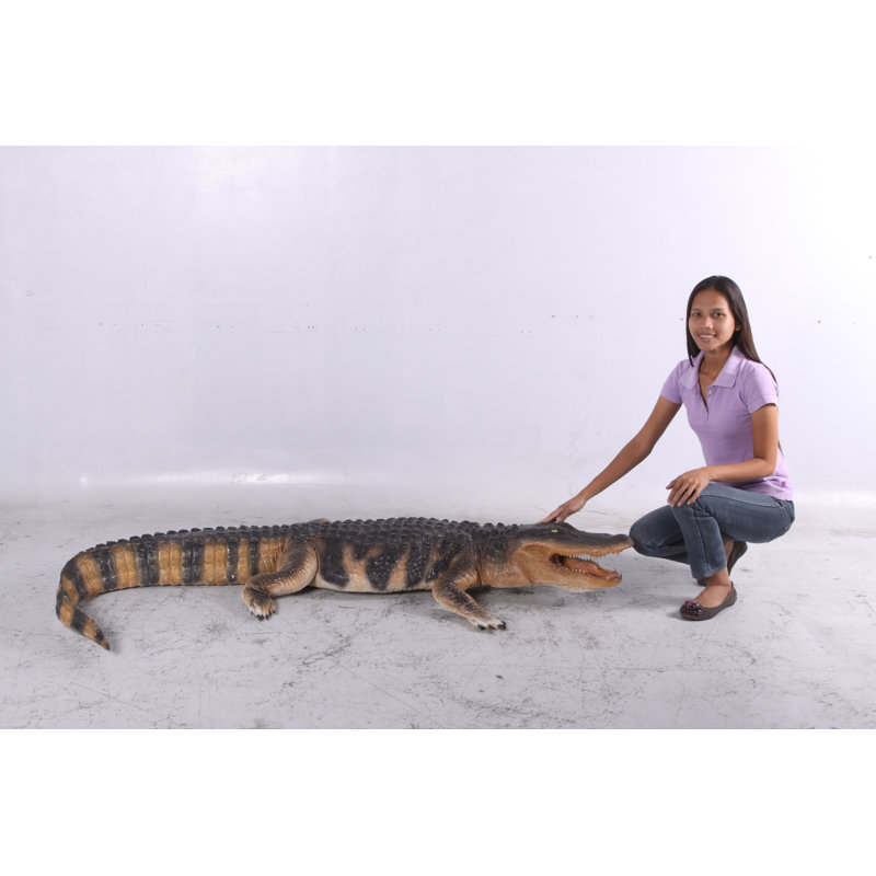 Alligator américain grandeur nature Bowley