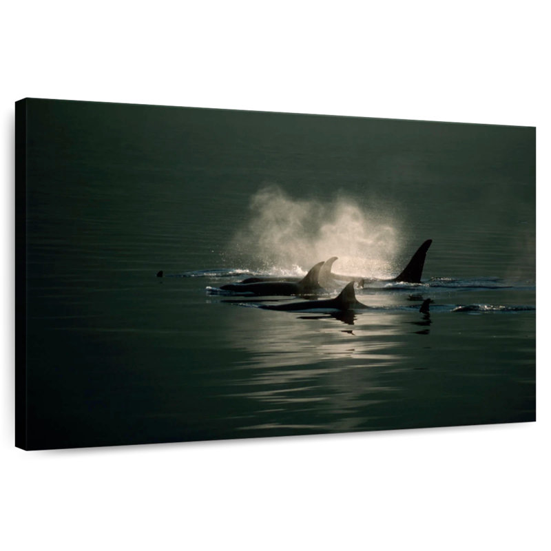 Brampt Orca Whale Pod, 8" H x 12" W