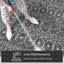 Tapis gris Marshanna-49789095