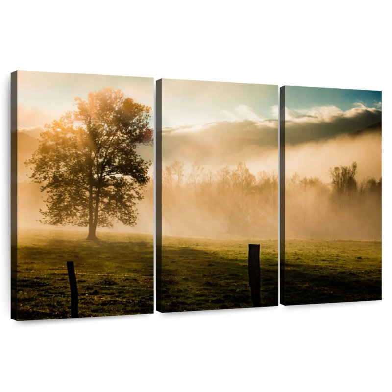 Alvord Mist In Cades Cove, H 48 po x l 74 po