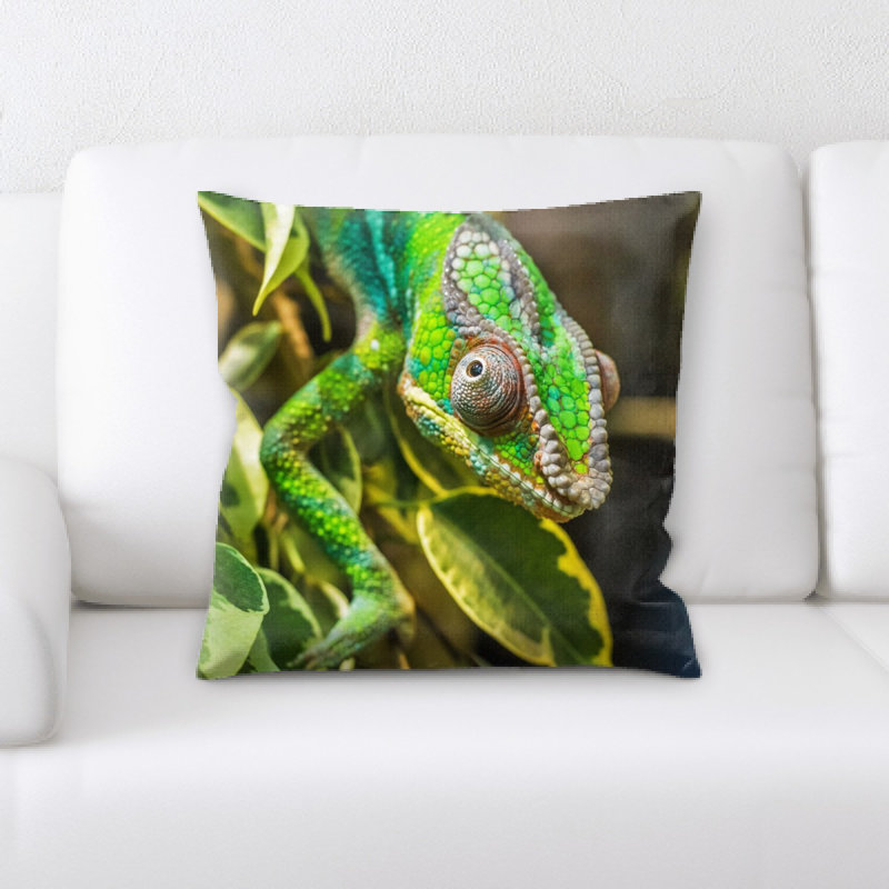 Coussin en jeté chameleon