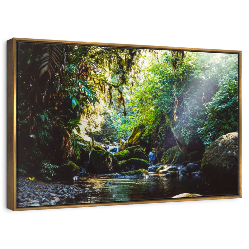 Forêt au Panama, Cadre flottant doré, 43 po x 29 po