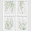 «Minimal Botanical» IDÉE4WALL, art mural variété de feuille de forêt vert pastel encadré, ensemble de 4 impressions de nature sauvage, décoration murale botanique floral pour le salon, impression encadrée de chambre à coucher, 4 pièces-90162009-90162013