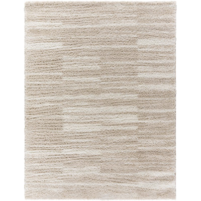 Tifini Abstract Indoor Rug