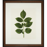 A Little Piece Of Nature II Print