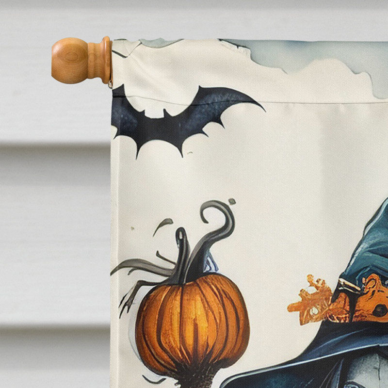 Double Sided 40'' H x 28'' W Polyester Halloween House Flag