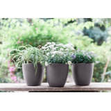 7'' Self Watering Planters For Indoor Plants - With Water Level Indicator For Flower Pot , Grow Tracking Tool - Coco Coir - Grey 3 Pack