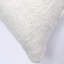 Coussin lombaire-1341023