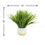 Fausse herbe Weatherhill en pot de fibres