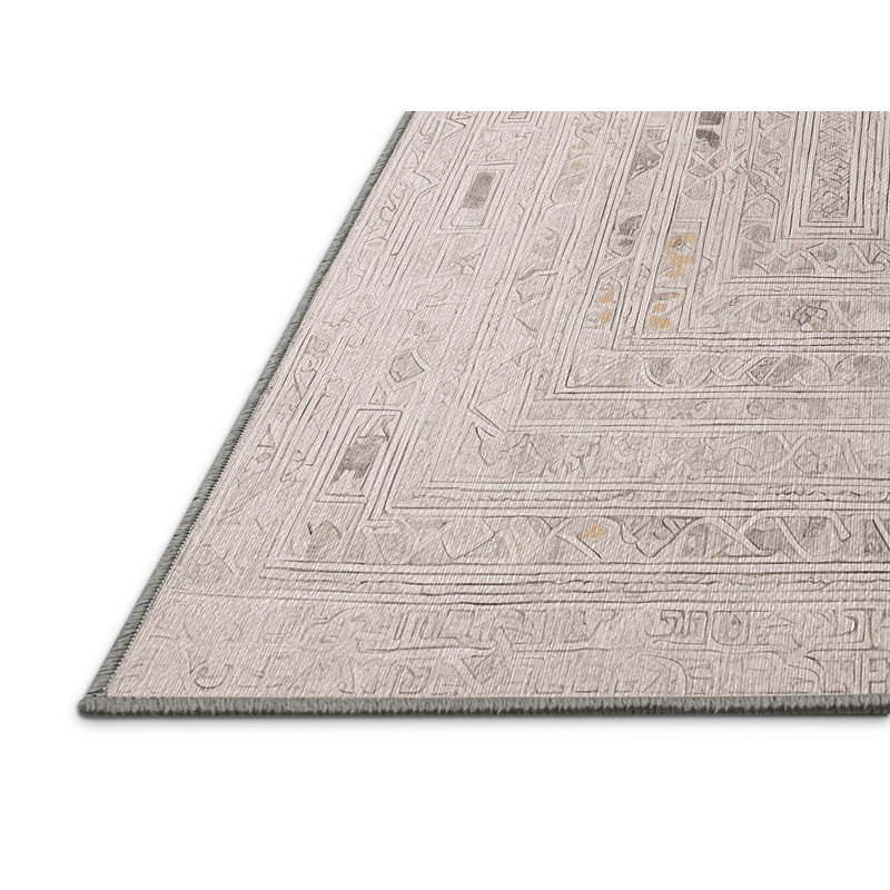 Machine Washable Gray Area Rug, Rectangle 6' x 9'