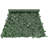 Ivy Privacy Fence