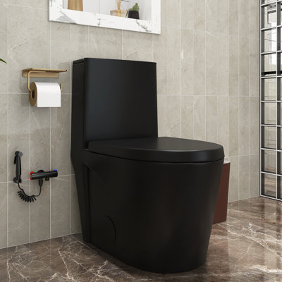 1-piece 1.1/1.6 GPF Dual Flush Elongated Toilet in Matte Black Seat Included