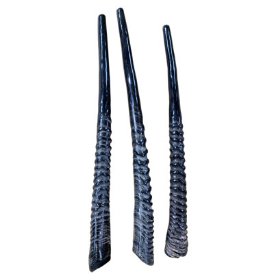 Gemsbok Horn Yemenite Shofar