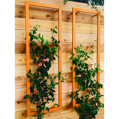 Durenda 69'' H x 23'' W Trellis